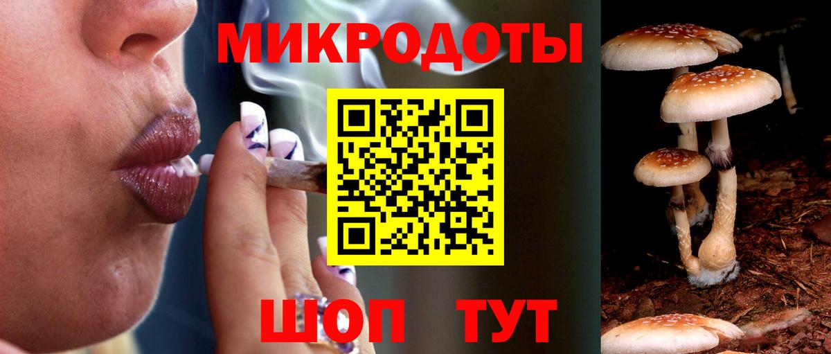 Галлюциногенные грибы Cubensis Пушкино